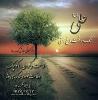 حکمت نامه امام علی (ع)