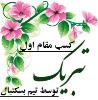 کسب مقام اول توسط تیم بسکتبال دبیرستان فرزانگان 2-سال تحصیلی 97-96