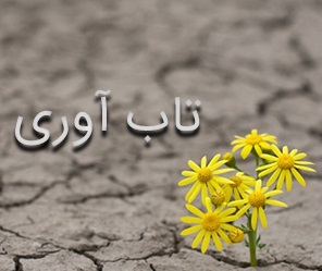 تاب آوری-دبیرستان فرزانگان 2-اردیبهشت ماه 99