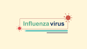  همایش پیشگیری از بیماری آنفولانزا-آذر ماه 98