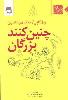 چنین کنند بزرگان - اثر ویل کاپی
