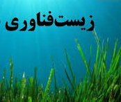 برگزاری سومین دوره مسابقات قطب کشوری زیست فناوری-سال تحصیلی 1400-1399